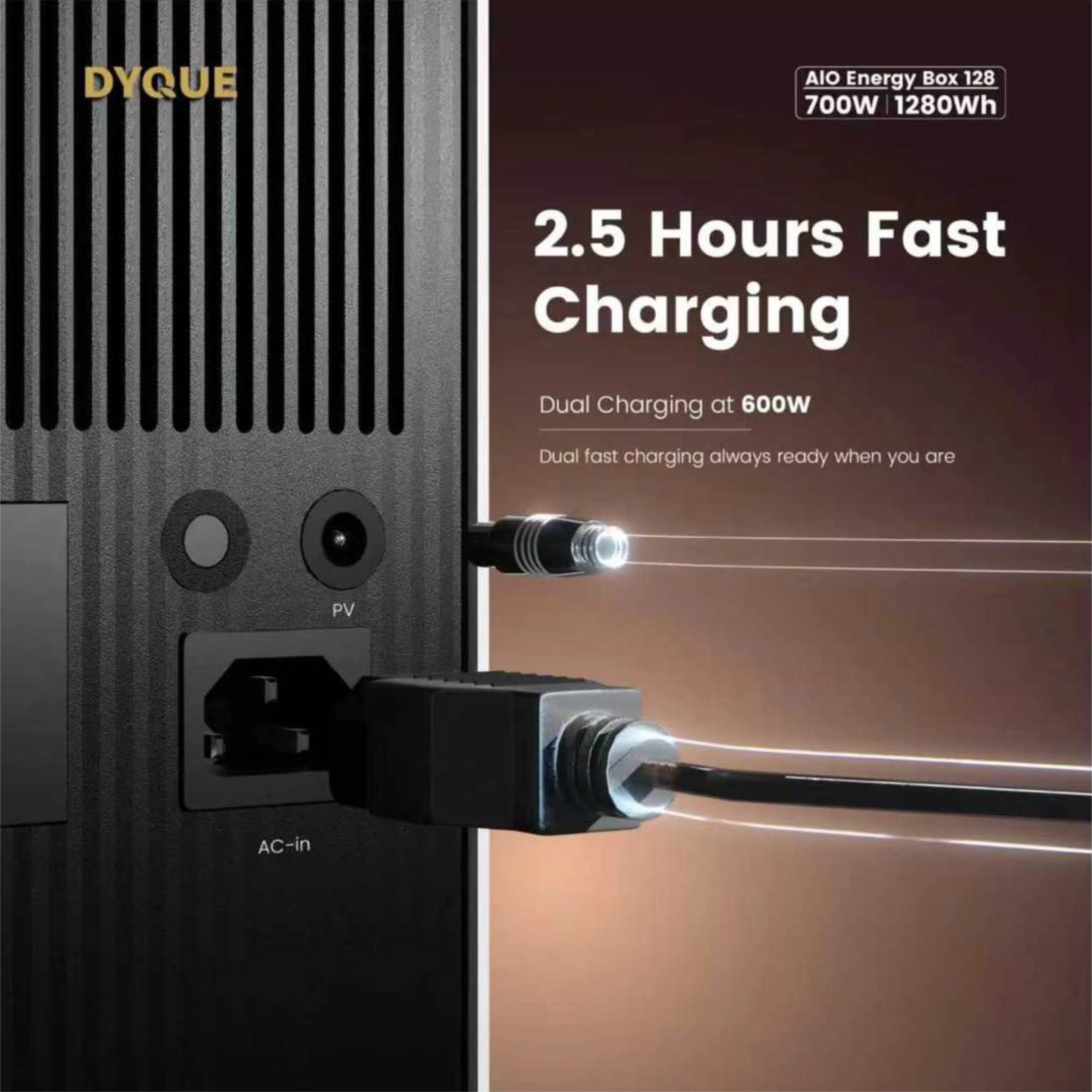 DYQUE ALL-IN-ONE Energy Box 700W - Image 3